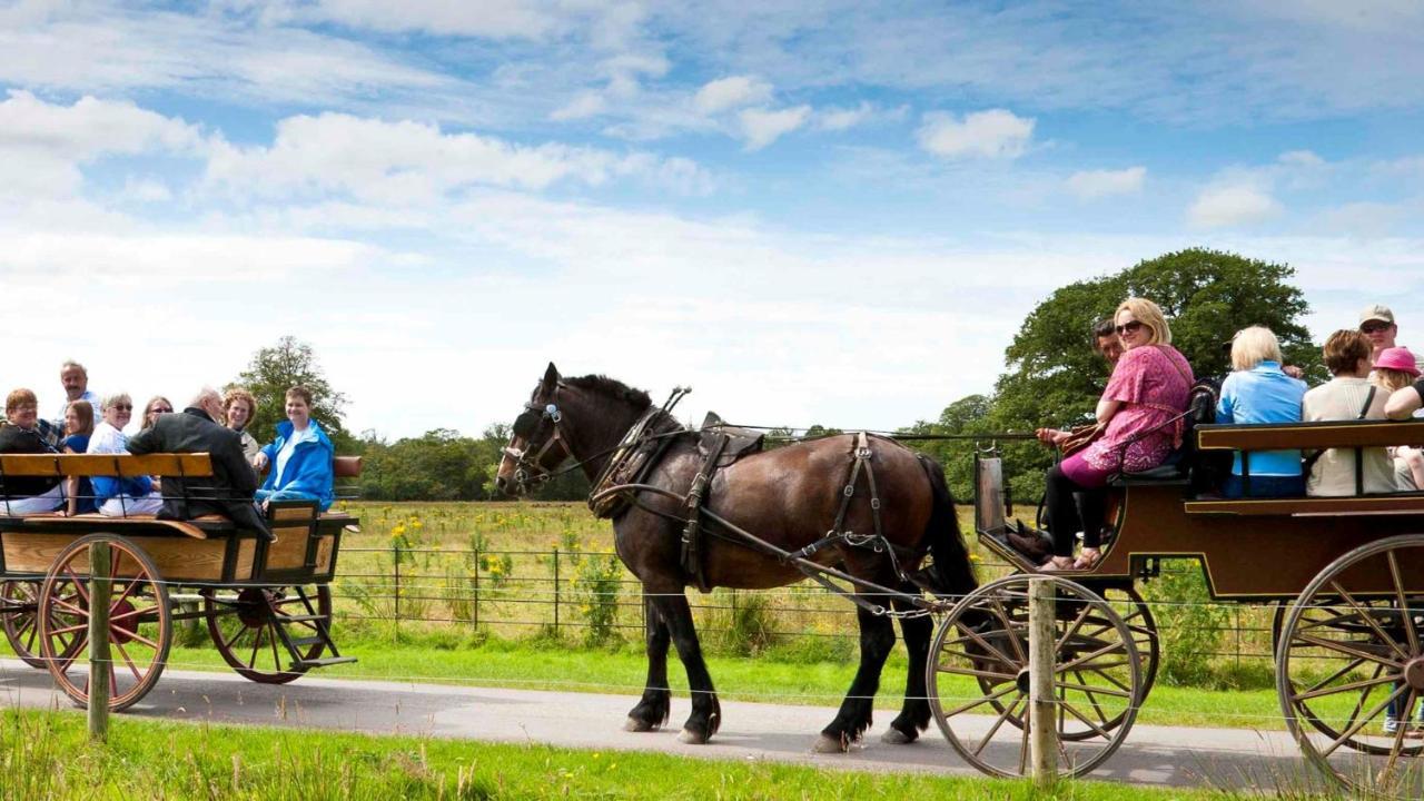 Muckross Park Hotel&spa Hotel 5*